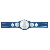 WWE Smackdown Tag Team Wrestling Championship Belt HG-5029Z
