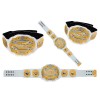 IWGP Intercontinental Belt HG-5013