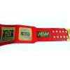 TNT AEW Championship Belt HG-5017