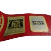 TNT AEW Championship Belt HG-5017