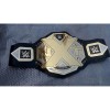 NXT Wrestling Belt HG-5019