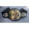 NXT Wrestling Belt HG-5019