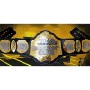 TNA Heavyweight Belt HG-5021