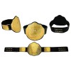 WWF World Heavyweight Belt HG-5024Z