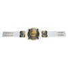 Women's Tag Team Zinc Replica Championship HG-5032Z